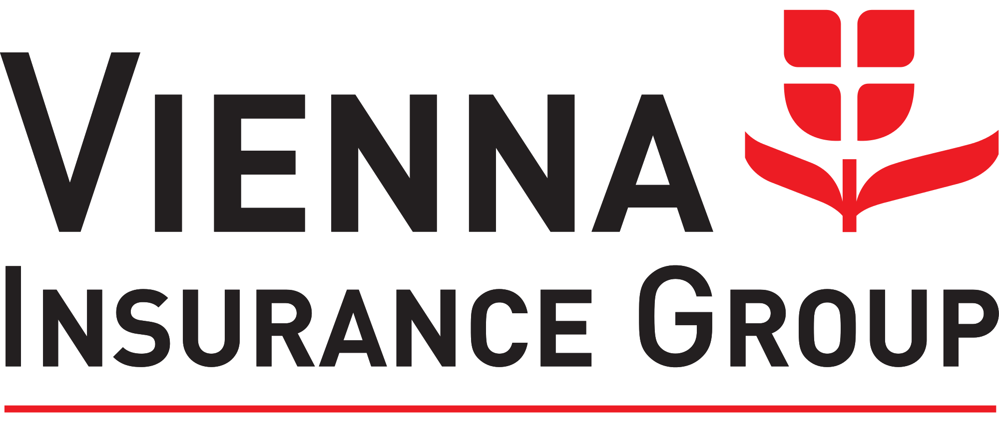 Vienna Insurance Group объединит две украинские «дочки»